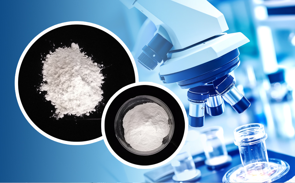 南宫NG28官网-不凡成绩非凡,相信品牌的实力